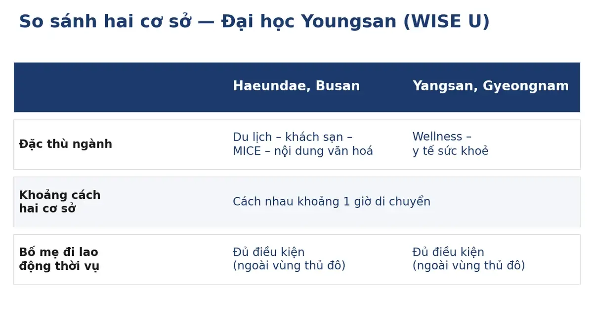Bảng so sánh hai cơ sở Haeundae và Yangsan tại Đại học Youngsan