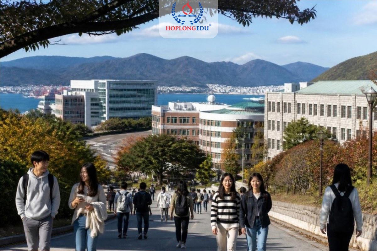 Sinh viên đi bộ trong khuôn viên trường đại học quốc gia trên sườn đồi ở Busan, Hàn Quốc