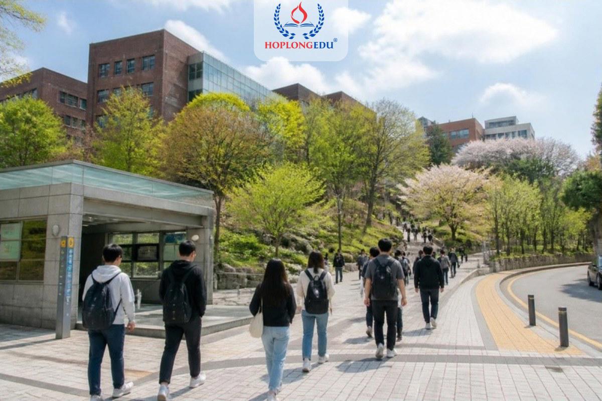 Sinh viên quốc tế đi bộ trong khuôn viên một trường đại học tại Seoul