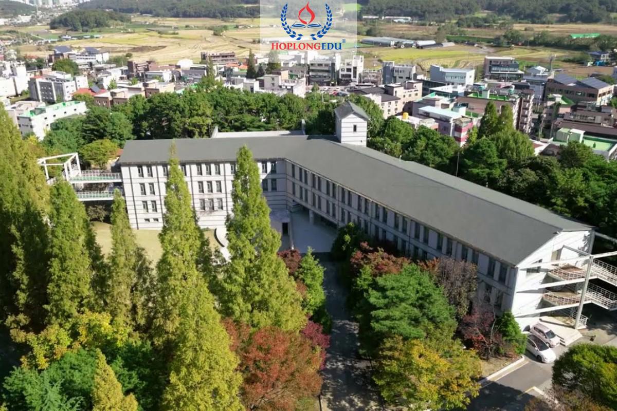 Khuôn viên Đại học Hoseo nhìn từ trên cao với hàng cây mùa thu