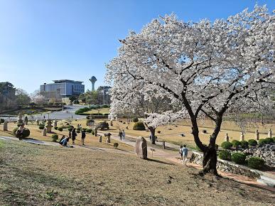 Trường Đại Học Quốc Gia Kyungpook - Du học Hoàng Duy