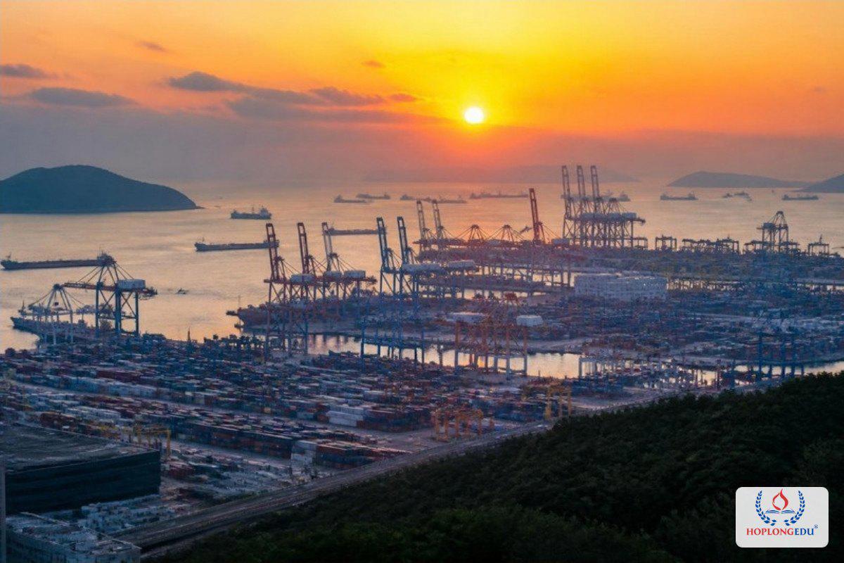 Cảng container Busan lúc hoàng hôn