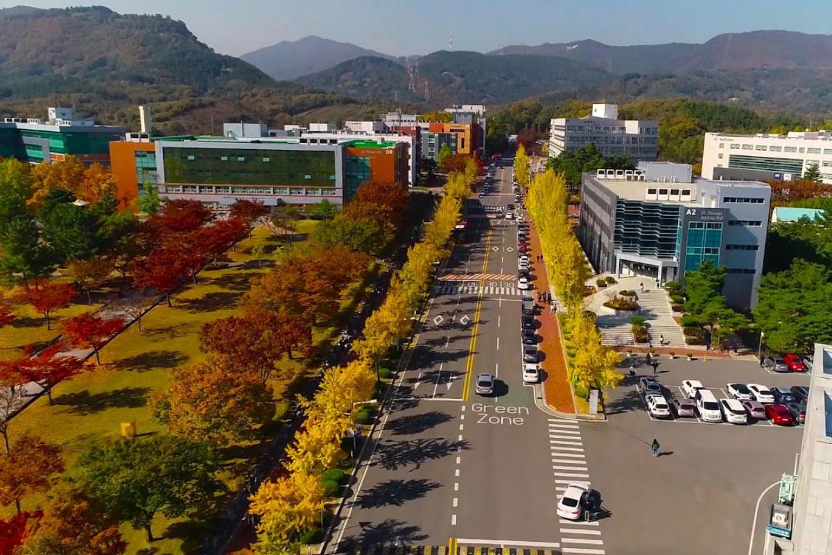 Con đường hàng cây vàng đỏ trong khuôn viên Đại học Daegu Catholic mùa thu