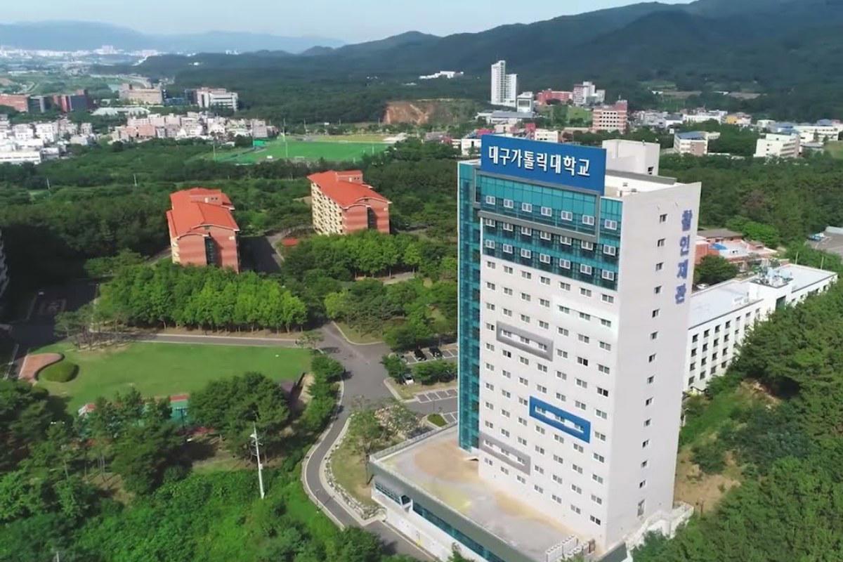 Tòa nhà cao tầng mang tên Đại học Daegu Catholic giữa khuôn viên nhiều cây xanh
