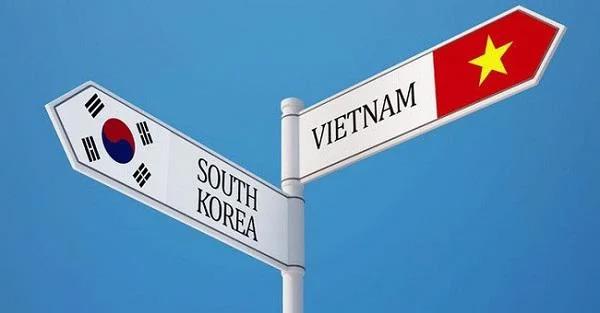 Trượt VISA Du Học Hàn Quốc – Xin Lại Như Thế Nào? (ảnh 3)