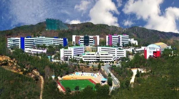 Cao đẳng Dongwon Hàn Quốc 2026: trường được chứng nhận (top 2) (ảnh 2)