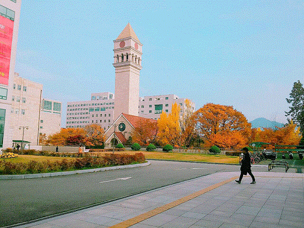 Cao Đẳng Jeonju Vision – Lựa Chọn Vàng Cho Chuyên Ngành Kỹ Thuật Tại Hàn Quốc