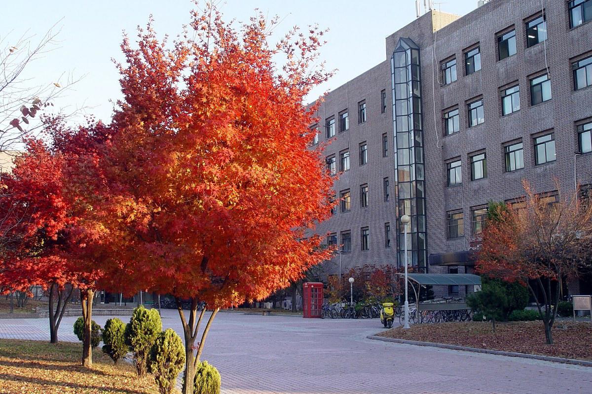 Tòa nhà khối Kỹ thuật ở cơ sở Suwon của Đại học Sungkyunkwan mùa thu