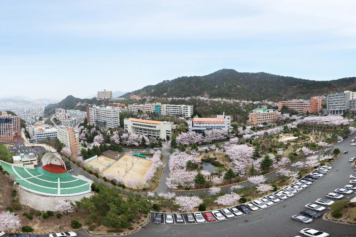 Toàn cảnh Đại học Dong-eui mùa xuân ở Busan