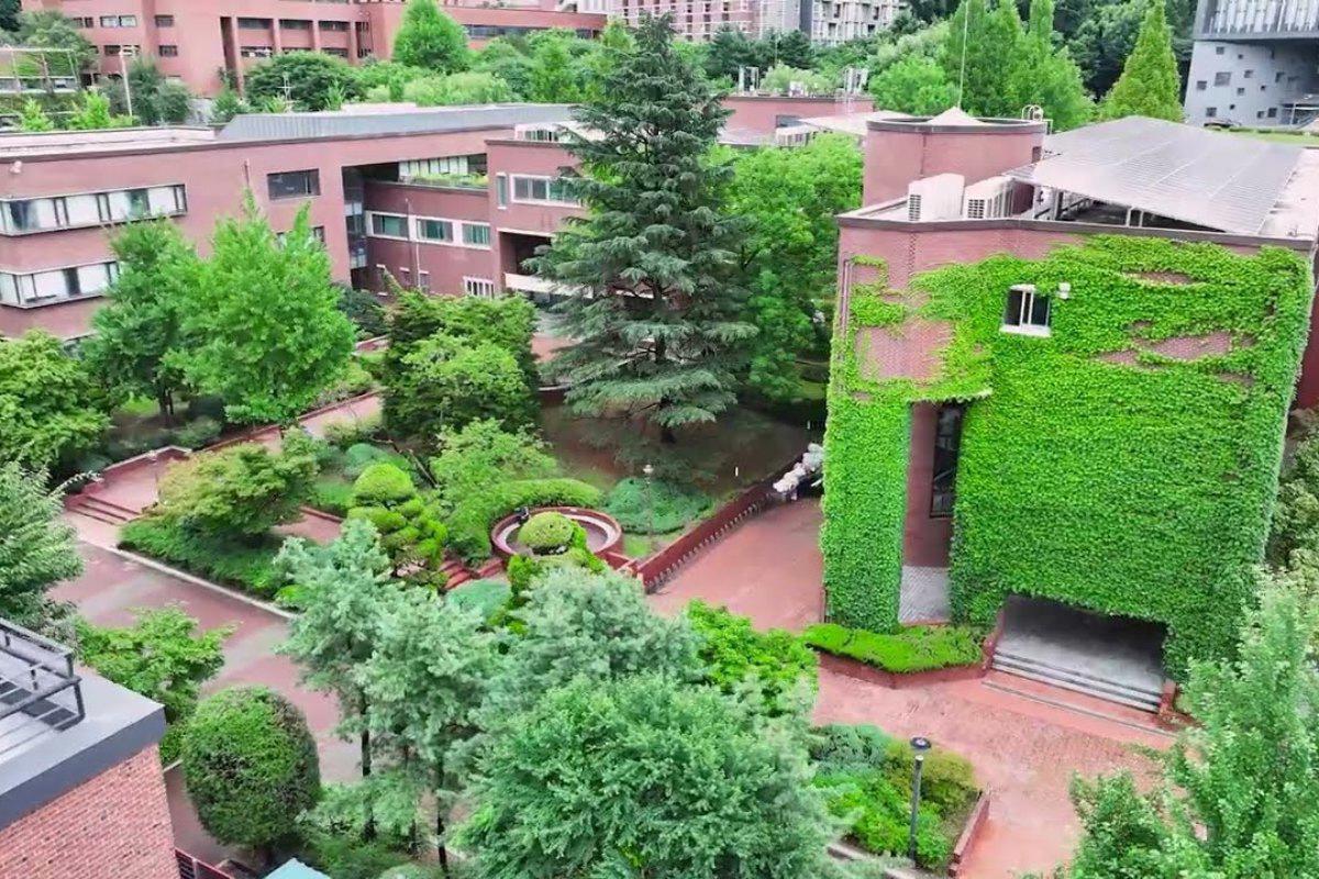 Vườn cây và tường phủ dây leo trong Đại học Seoul Sirip